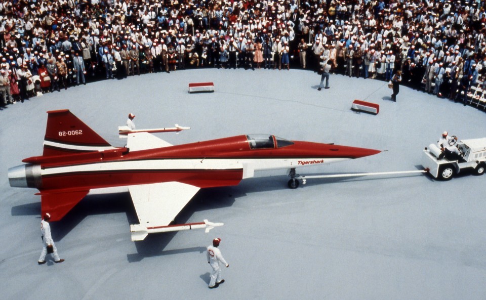 虎鲨悲剧,极富悲剧色彩的虎鲸