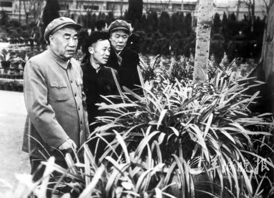 我的故事征文题目,我的越秀山故事征文选登