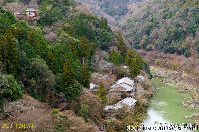 京都岚山风景区在哪,京都岚山樱花
