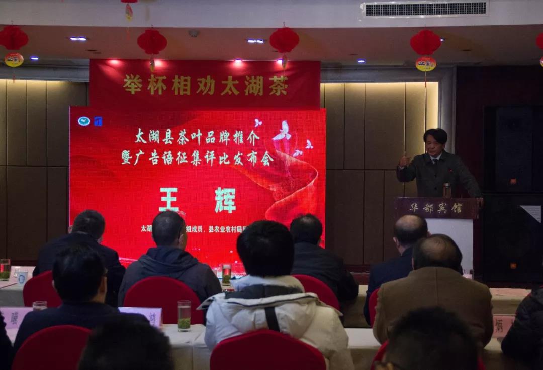 茶叶公共品牌宣传语征集,太湖茶叶广告语宣传语