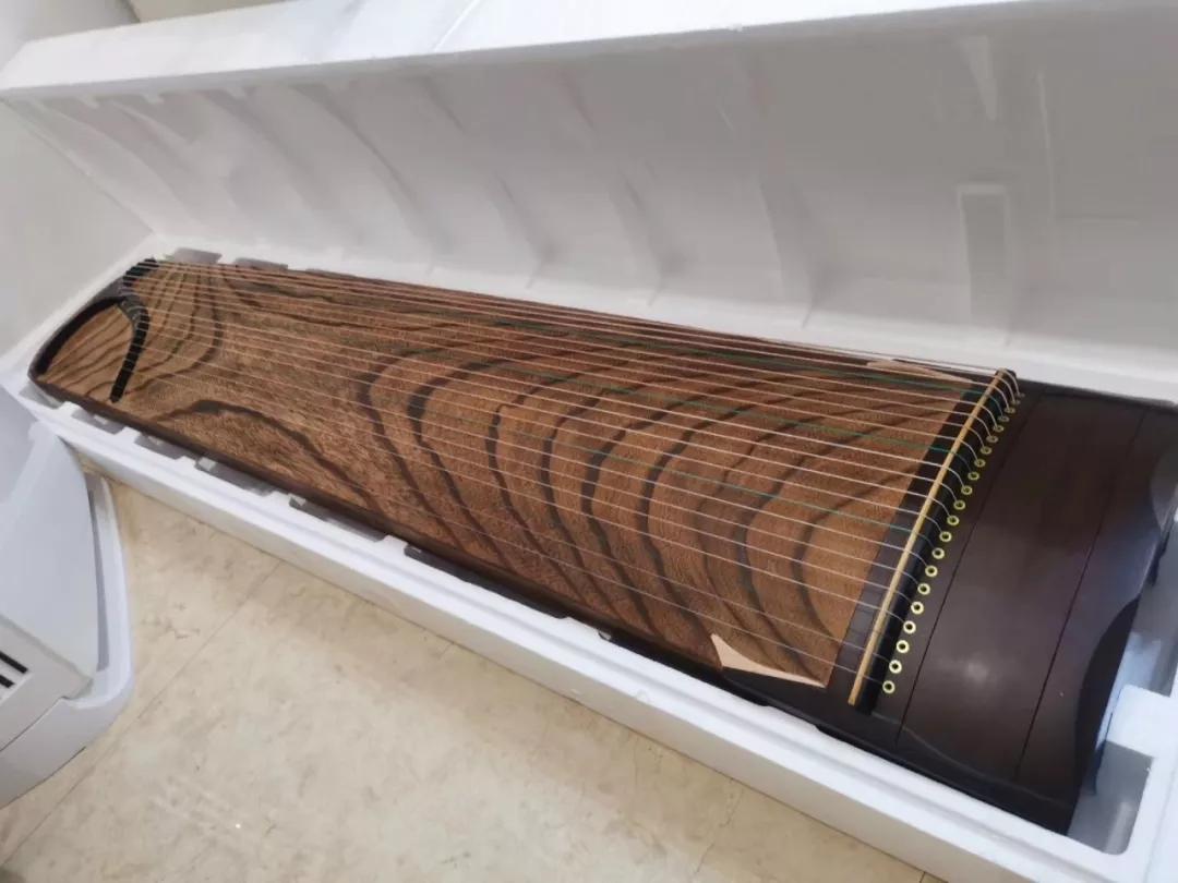 风尚人物|张梦婷：泠泠琴韵，君子如兰