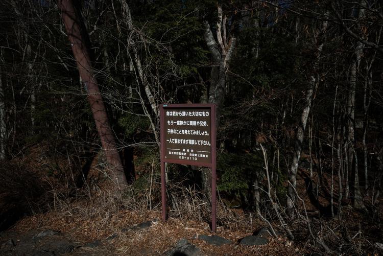 在日本被誉为“自杀森林”的青木原树海是什么地方