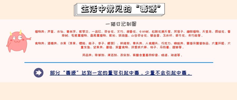 猫咪大便带血是怎样的,猫咪大便带血是怎么了