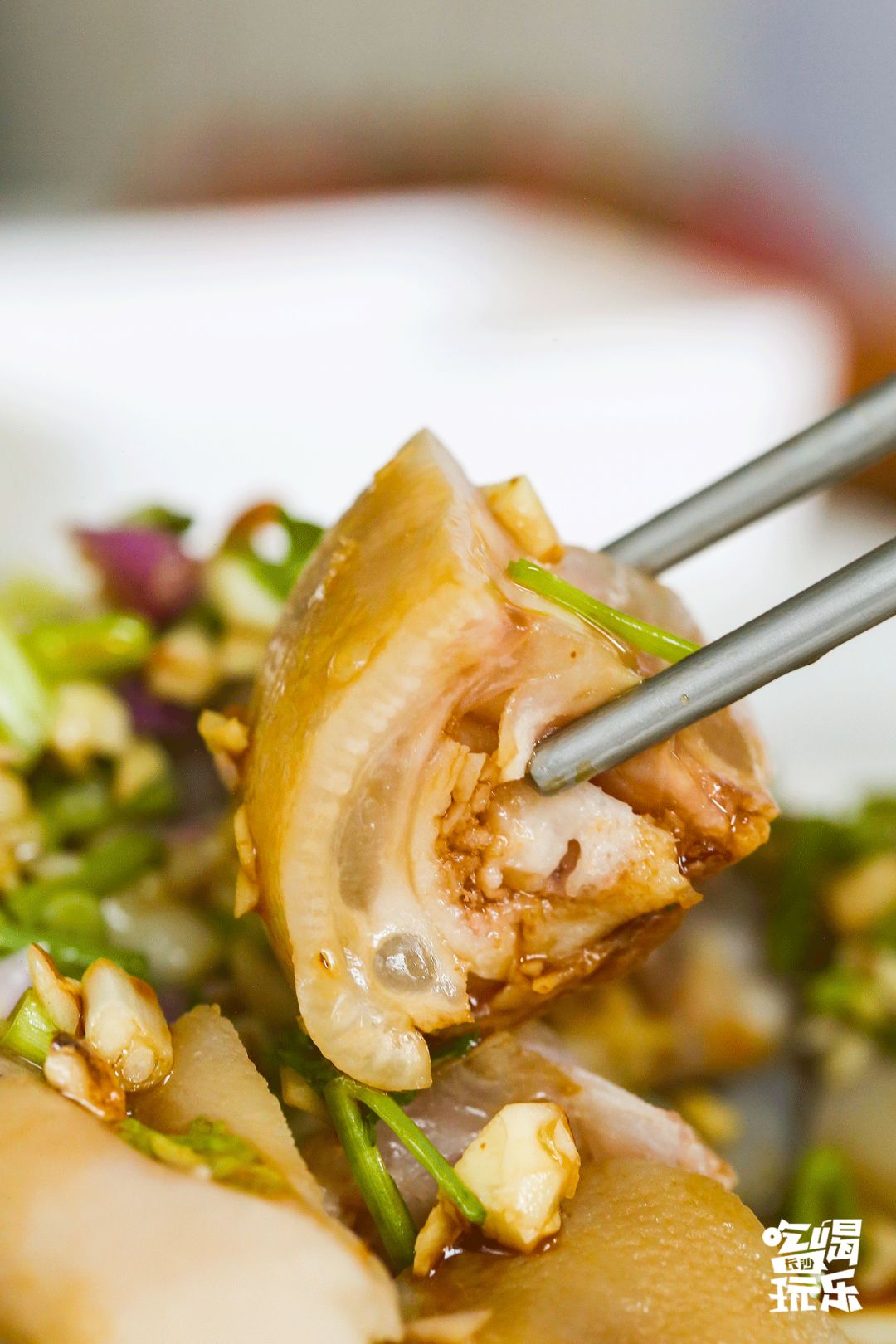 长沙城南绝美音乐餐厅！7.8折吃遍全国精致料理