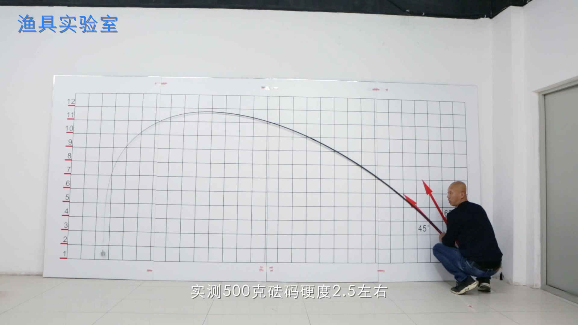 名伦锦鲤和荷元鲤哪个好,名伦鲩和名伦锦鲤哪个好