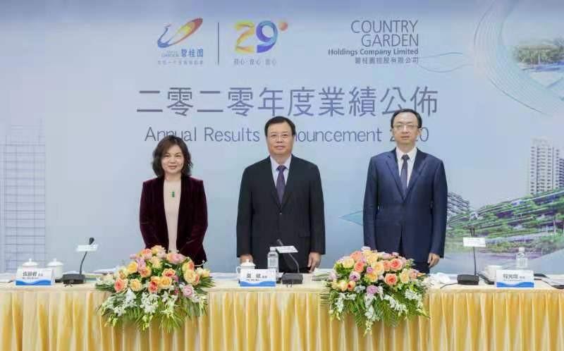 碧桂园业绩现状,碧桂园巨额亏损的原因