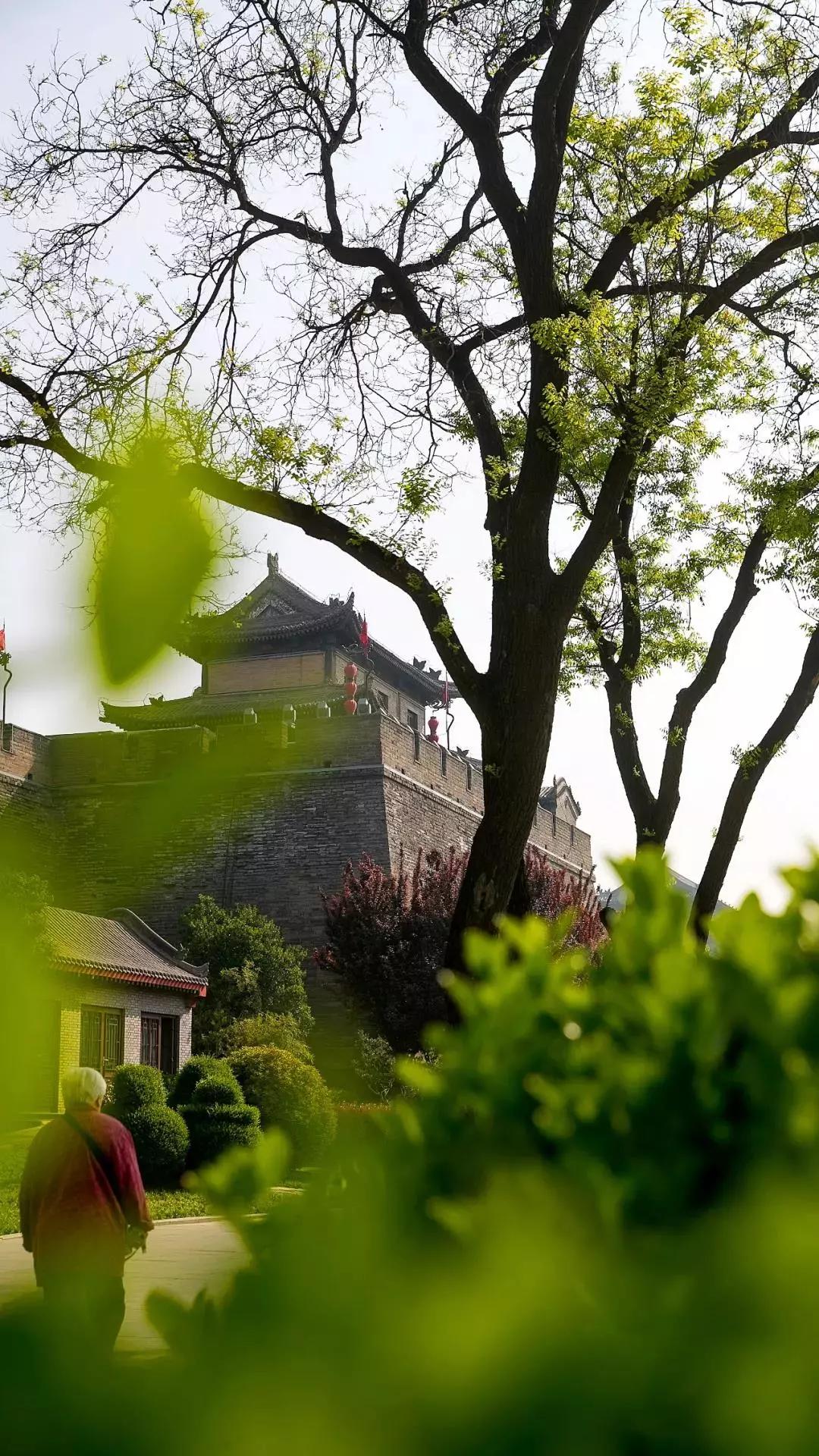 西安的春天到底有多美？我要打包送给你