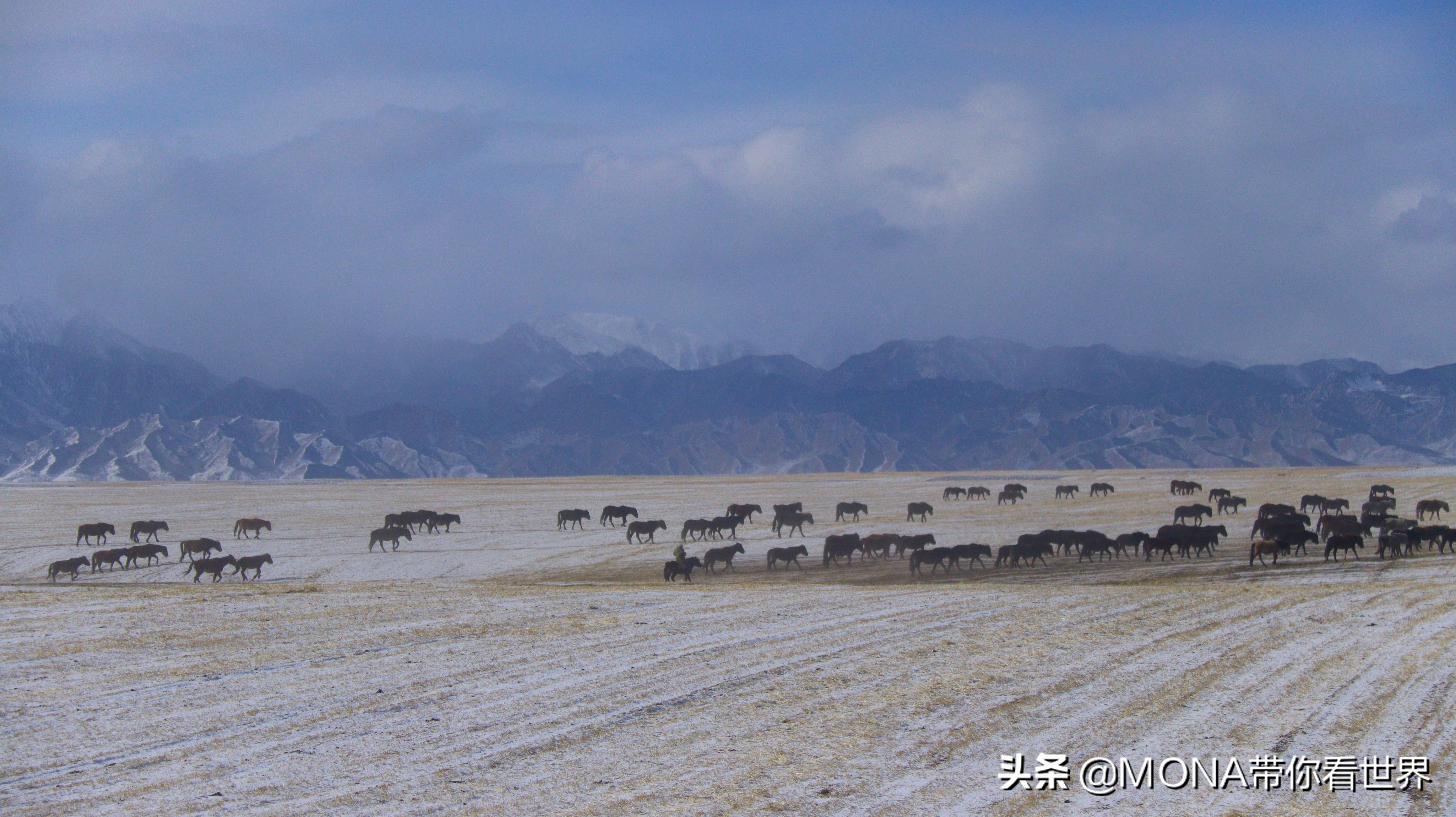 神奇张掖：这里除了超美的丹霞地貌，还有世界第一的军马场
