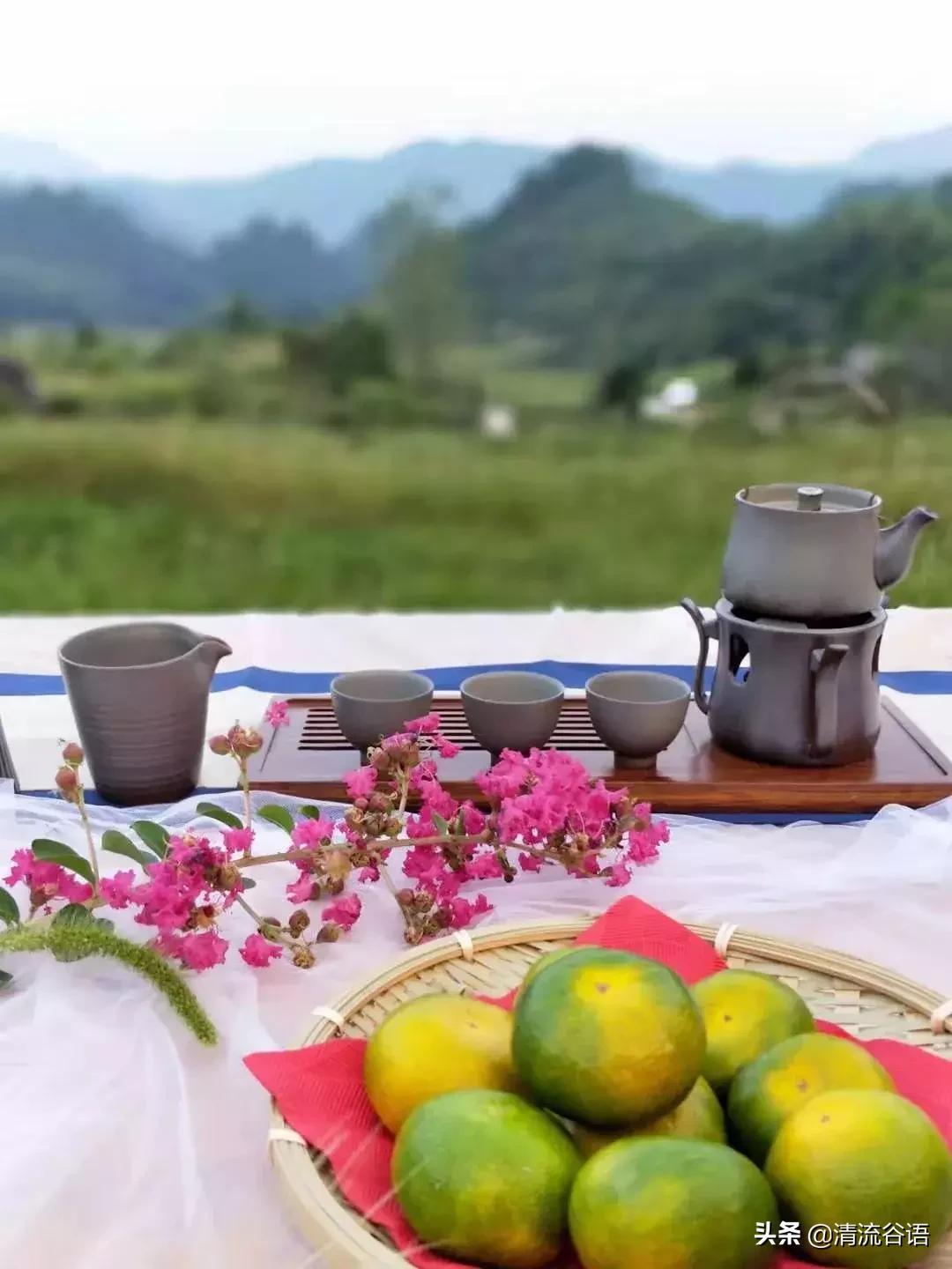 老茶新酒——与香港籍“老村长”星空下的漫谈