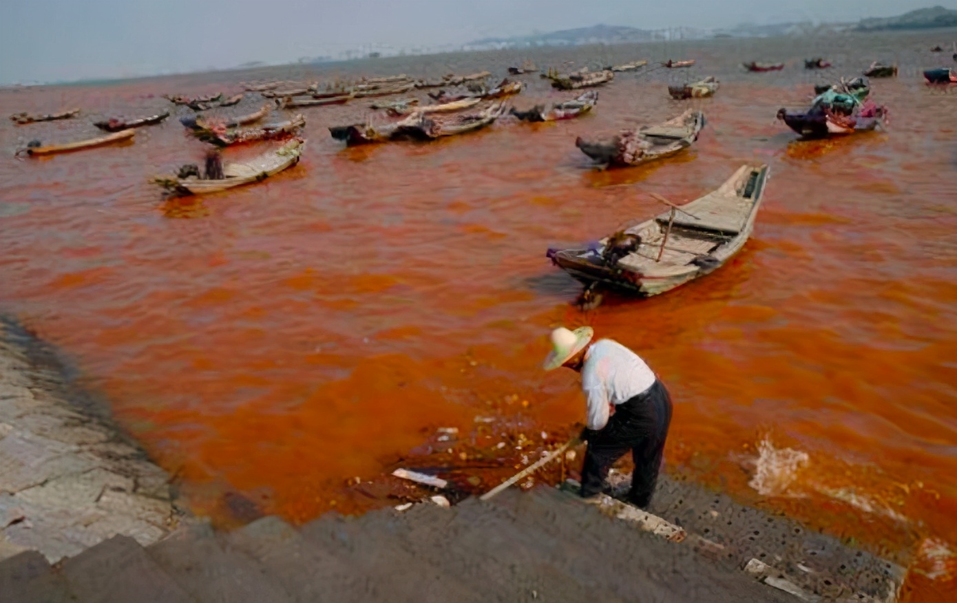 这种贝比眼镜蛇毒强80倍,海员食用后中毒身亡,为何还常被人吃