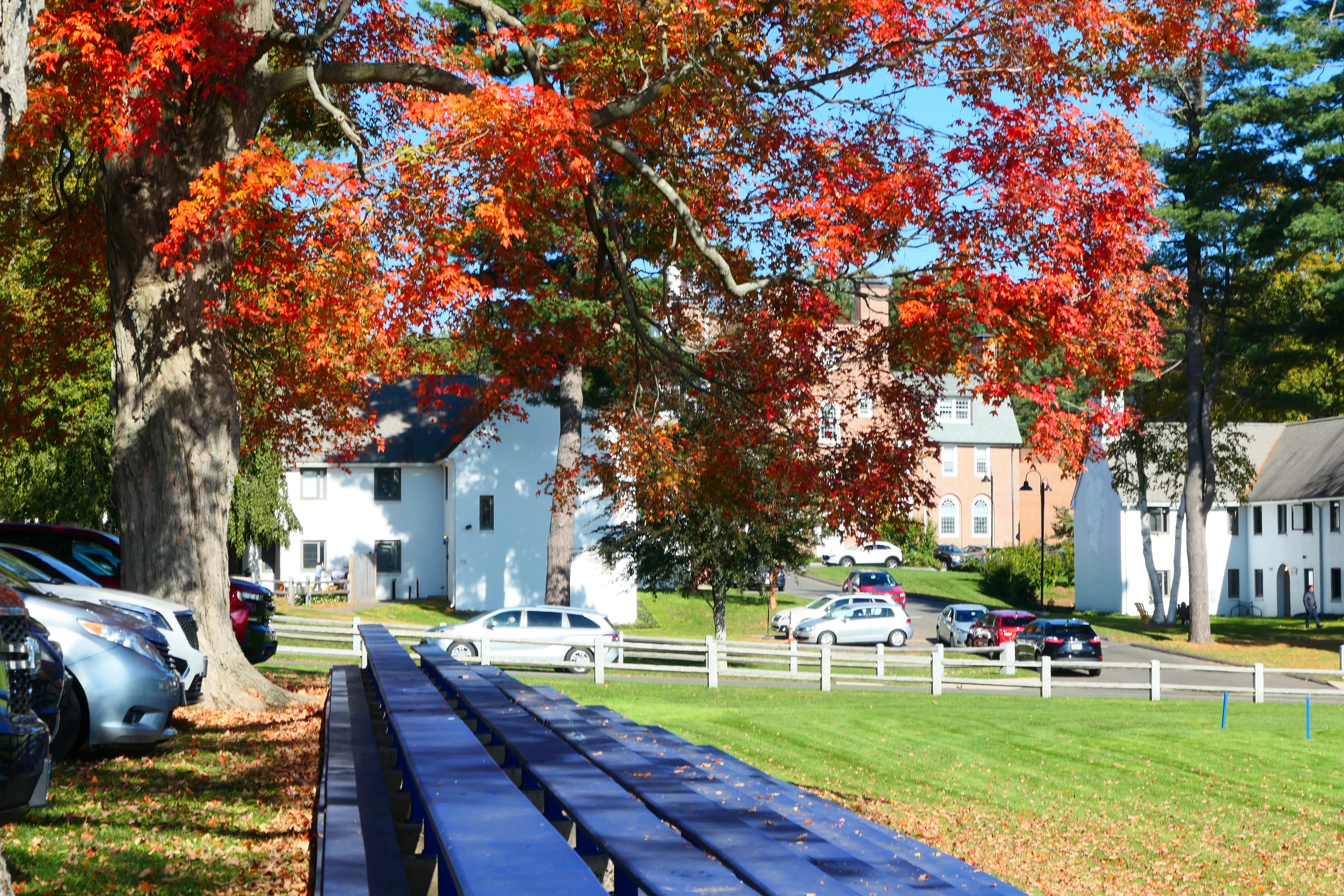 股市炒股成功的十大秘诀,如何在股市中自己炒股