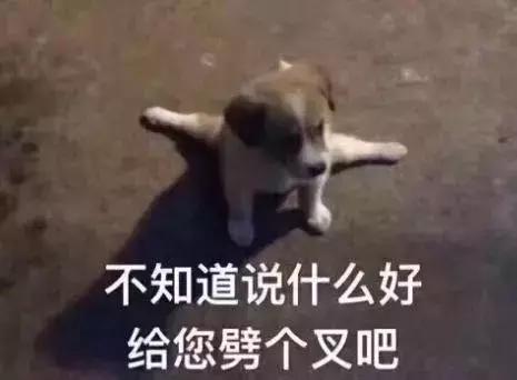 晒太阳能杀死螨虫吗,阳光下暴晒除螨虫效果好吗