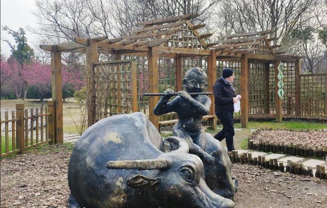 来扬州一定要去瘦西湖美出仙境,记录扬州瘦西湖之旅