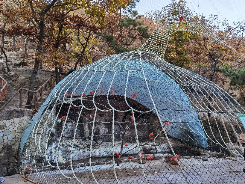 大连老虎滩5a景区,大连老虎滩5馆旅游攻略