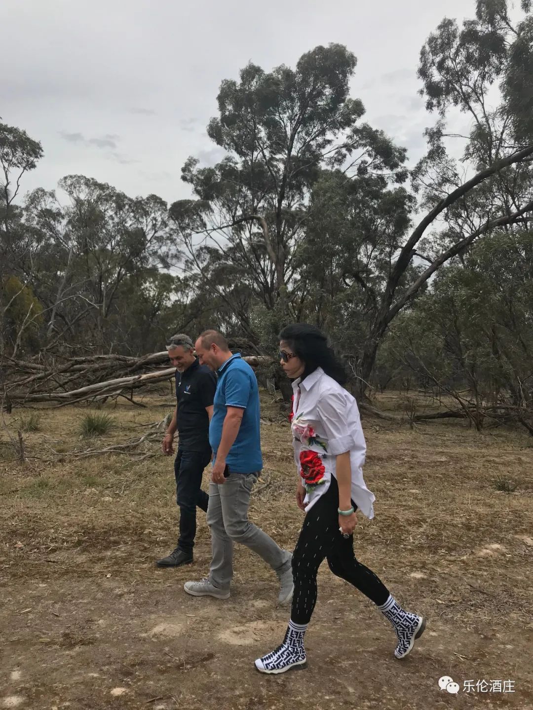 把红酒进口到国内,把葡萄酒带到中国的是谁