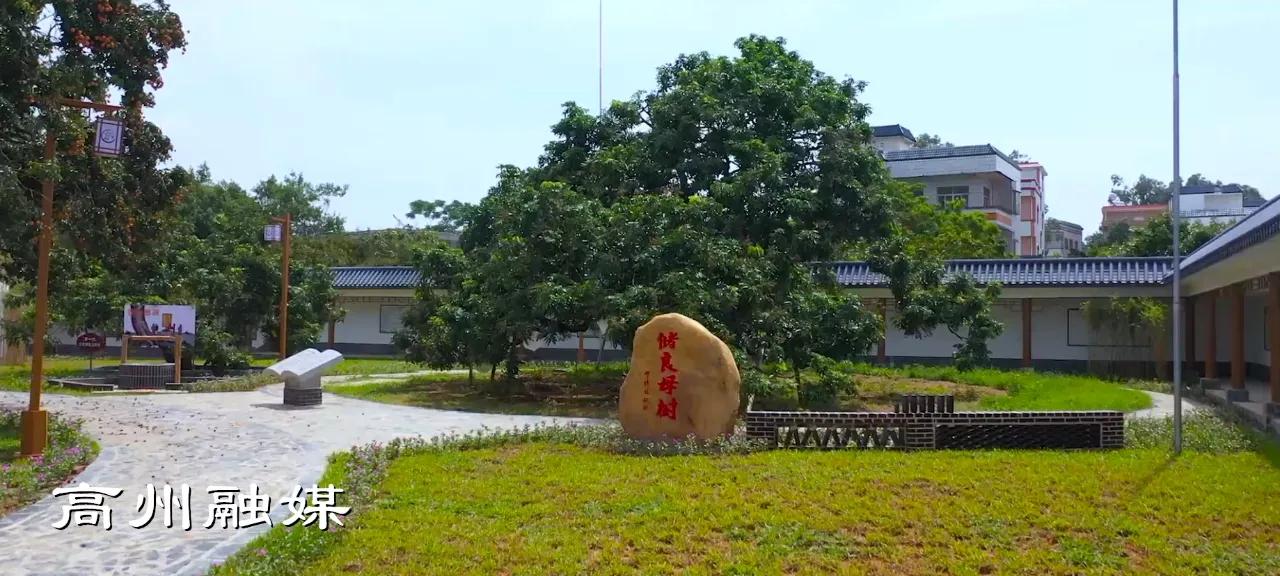 飞阅系列,飞阅新闻最新消息