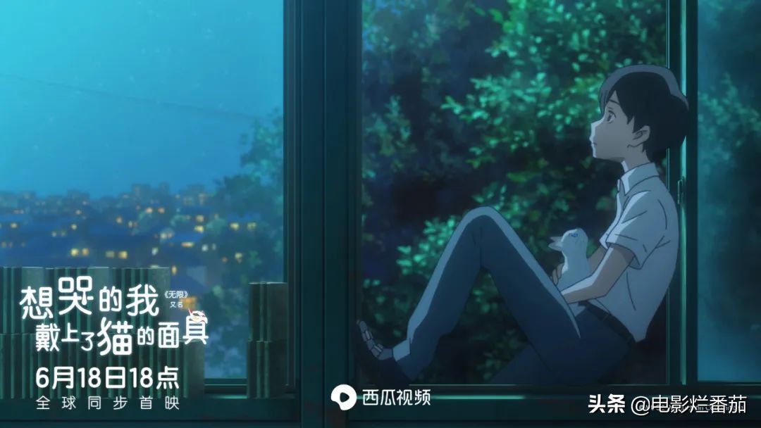 这部温情的撸猫片,让我哭得溃不成军,这是全世界猫*党**的胜利
