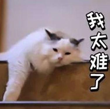 渝中区巴蜀小学划片范围,重庆渝中区小学划片一览表