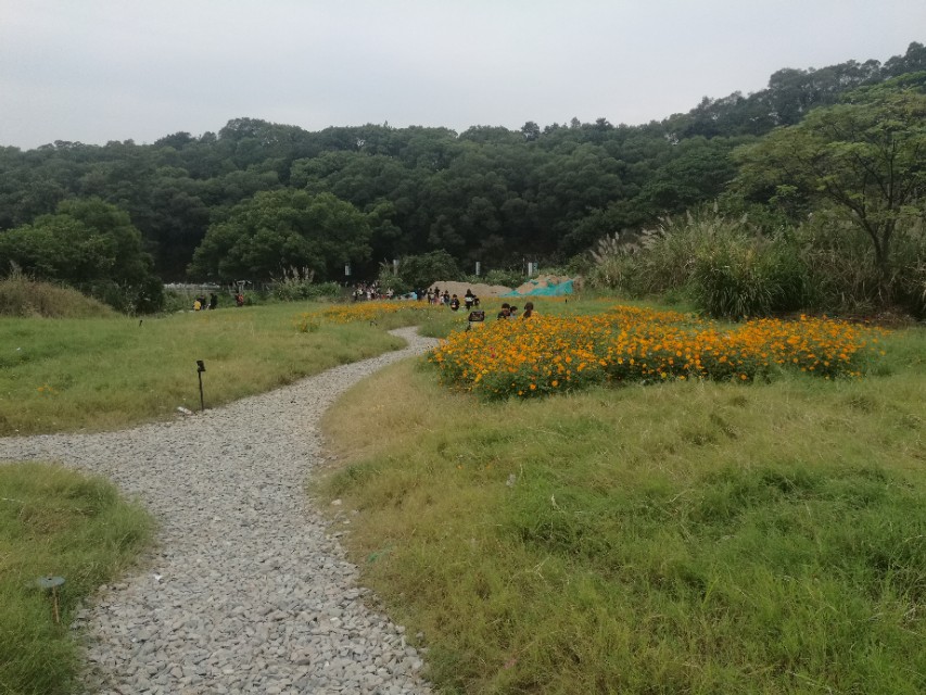 福州登云水库生态公园,福州新晋网红打卡景点在哪里