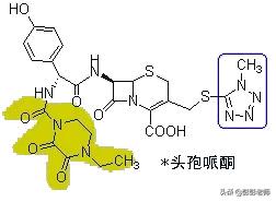 执业药师药物化学结构记忆口诀,初级药师基础知识药物分析