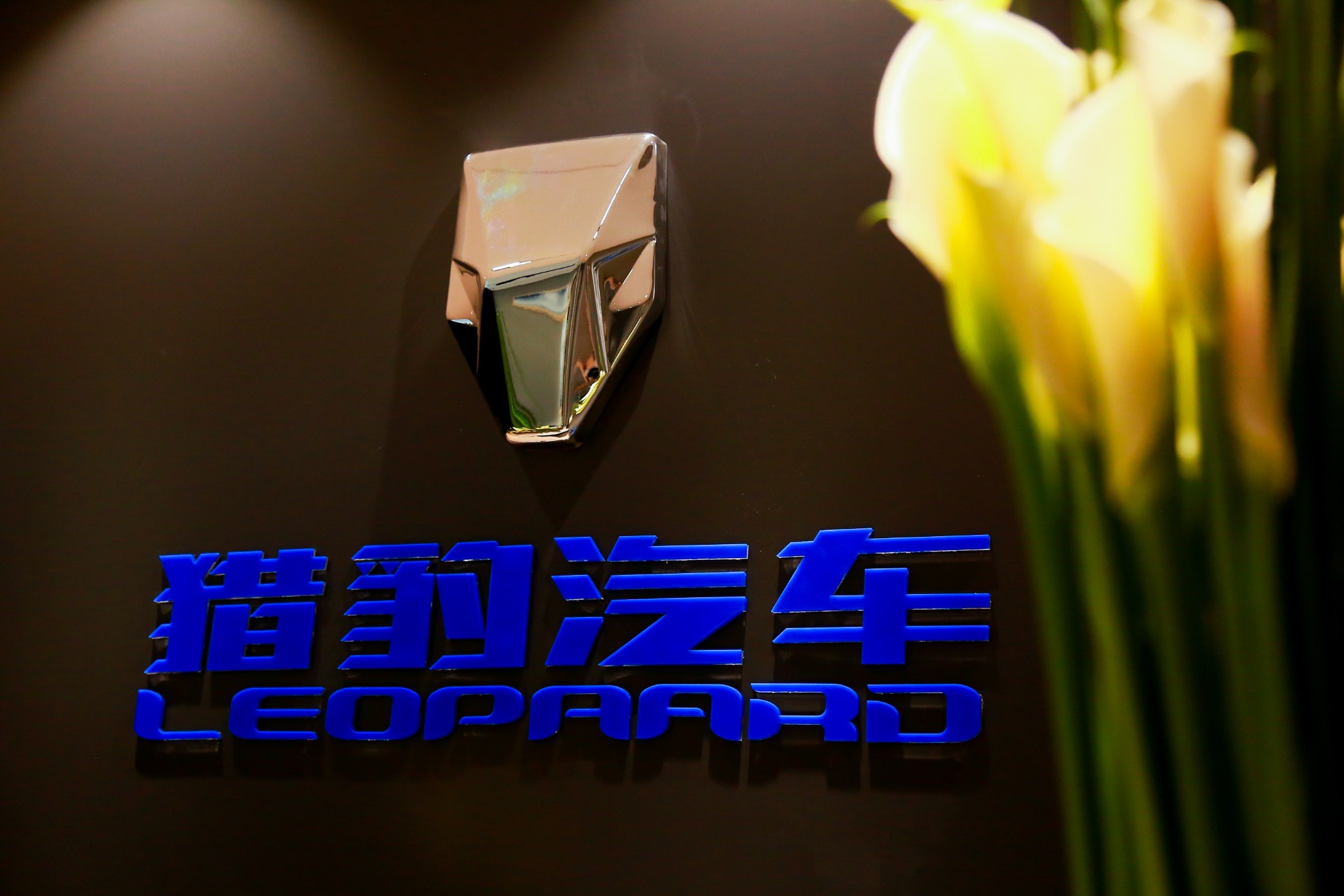 猎豹全新车,猎豹全新