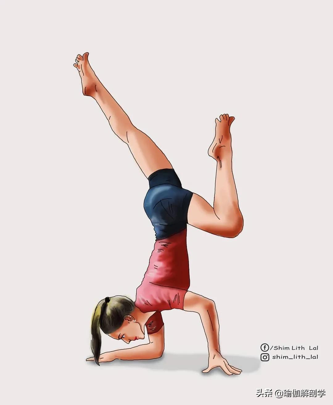 说起“凡尔赛”，谁都比不过瑜伽人