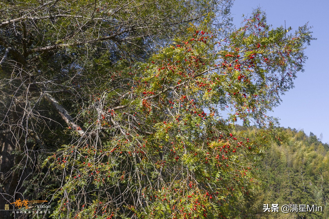 郴州民宿《那山那水》,郴州那山那水酒店