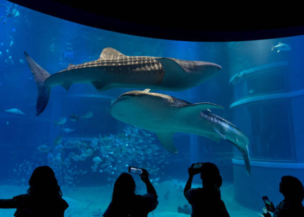 大阪适合旅游的季节,大阪夏日祭旅游
