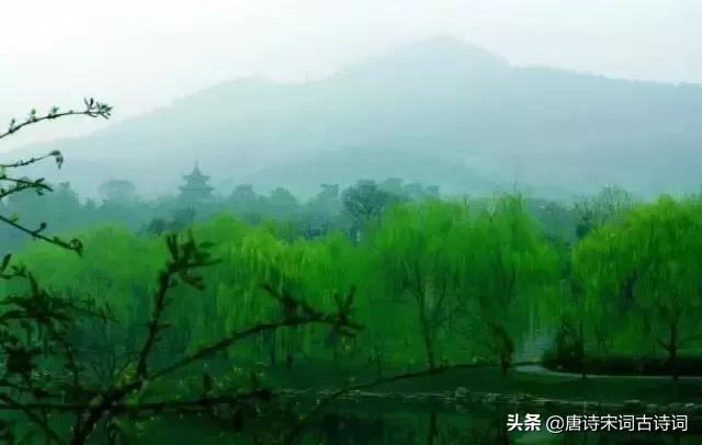 春梦了无痕,春梦了无痕世事随云去