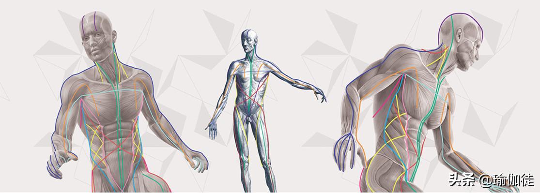怎么练到感觉身体没有那么沉重,身体一直紧绷着放松不了