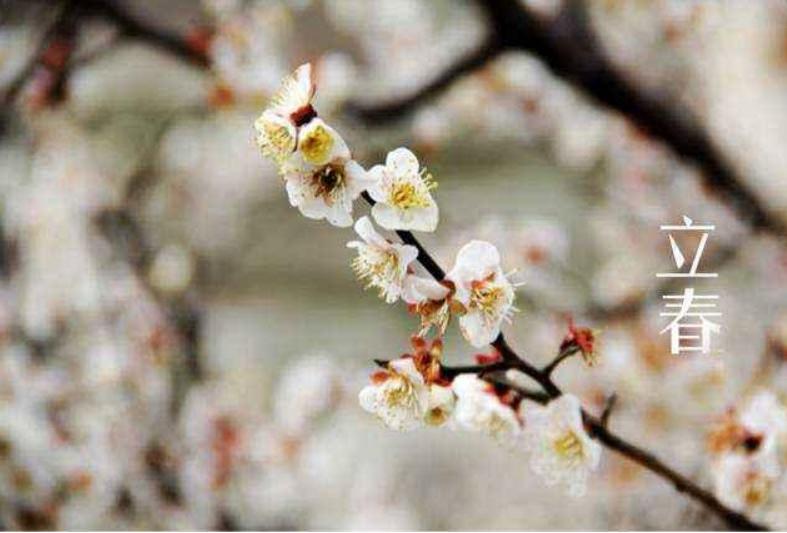 2024年几点钟进入立春节气,哪一年的立春节气是2月3日