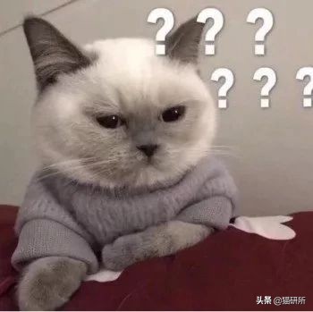 万里挑一加盟,万里挑一高手在哪里