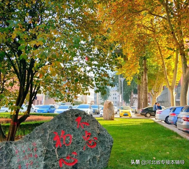 河北专接本医科专业,河北专接本院校相关专业