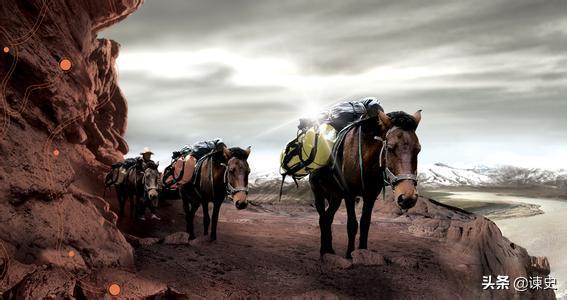 古代茶马互市怎么样,茶马互市起源于宋发展于唐