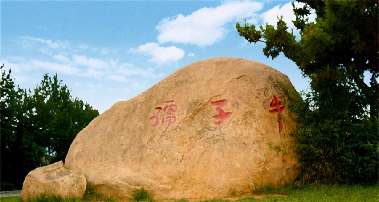 济南大学和烟台大学哪个更好,山东理工大学与烟台大学对比