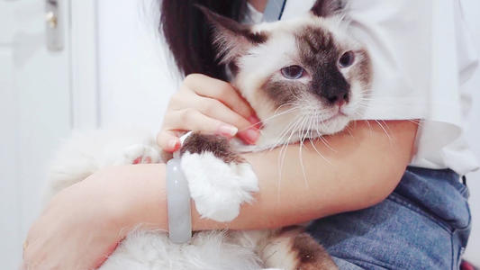 免拆线到底是拆还是不拆好,免拆线和普通线的利弊