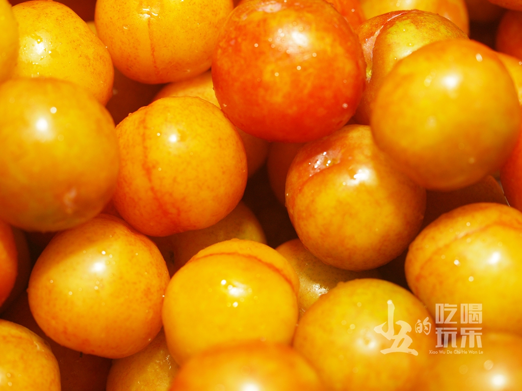 <html>
<head><title>502BadGateway</title></head>
<body>
<center><h1>502BadGateway</h1></center>
<hr><center>nginx</center>
</body>
</html>
<!--apaddingtodisableMSIEandChromefriendlyerrorpage-->
<!--apaddingtodisableMSIEandChromefriendlyerrorpage-->
<!--apaddingtodisableMSIEandChromefriendlyerrorpage-->
<!--apaddingtodisableMSIEandChromefriendlyerrorpage-->
<!--apaddingtodisableMSIEandChromefriendlyerrorpage-->
<!--apaddingtodisableMSIEandChromefriendlyerrorpage-->
