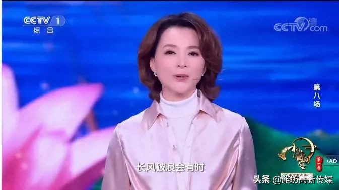 董卿诗词大会经典语录合集,诗词大会董卿经典语录