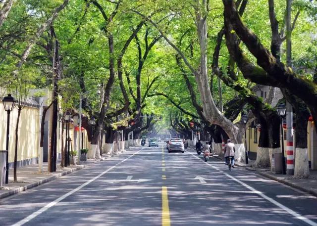 长春4月特价机票价格表查询,长春特价一折机票查询