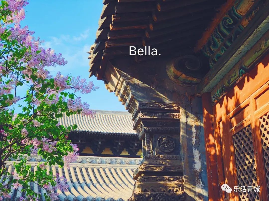 贝拉专访合集,贝拉专栏采访视频