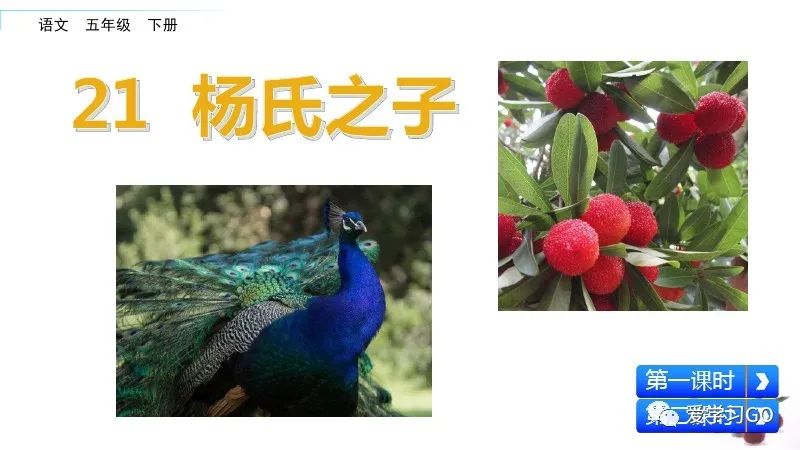 五年级下册语文21课杨氏之子预习,五年级下册21课杨氏之子的意思