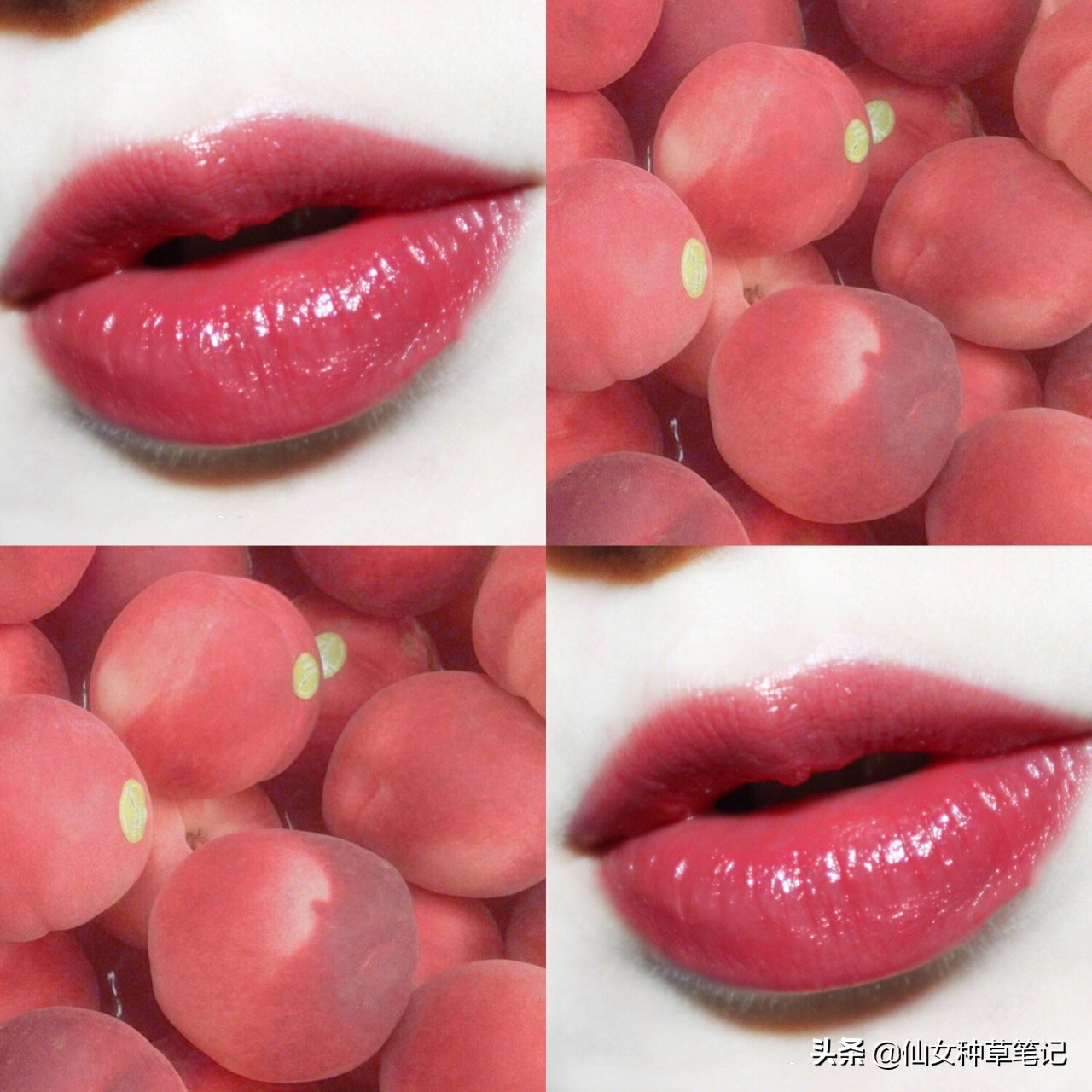 觉得自己缺根口红,你是否在寻找一支真正好用的口红