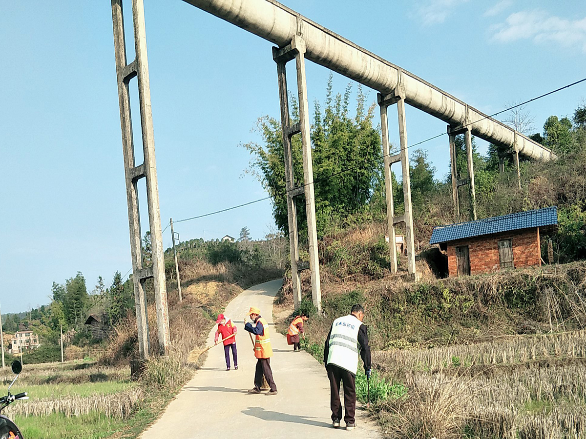 奉若珍宝,奉若珍宝什么意思