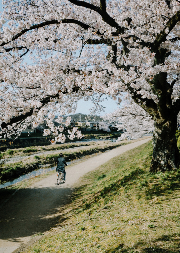 专访|2020米拍摄影奖·年度摄影师FuJi藤井树