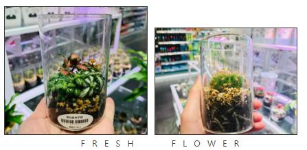 kkv探店打卡,kkv探店拍照