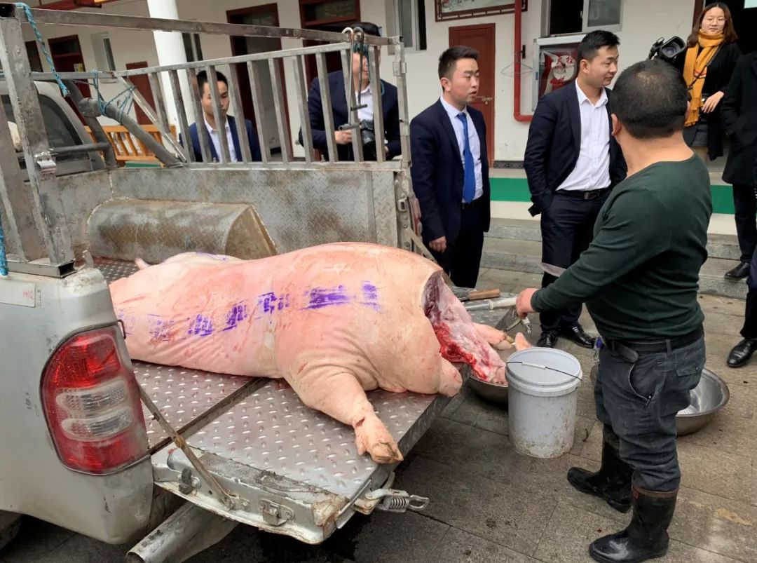 树文明新风传承孝道文化,树敬老之风促社会文明朗诵