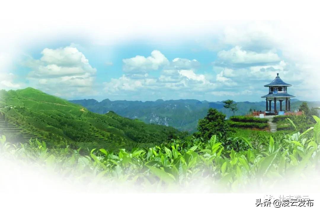 给力！凌云这些村官将获加薪，最高2000元/月