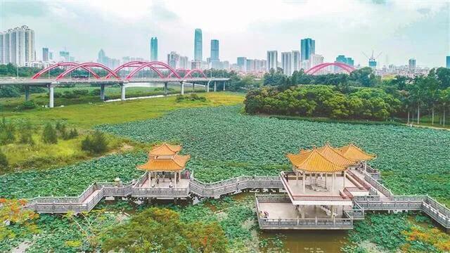 深圳免费公园哪里最好啊,深圳十大免费公园景点大全