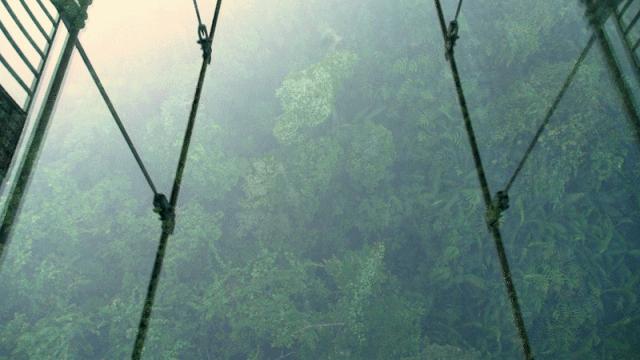 9月云南旅游景点攻略大全,云南旅游景点一日游排名前三