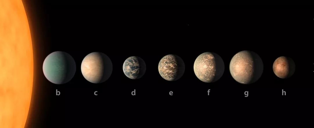 马云谈养猪的最新信息,马云为啥关注农业行业